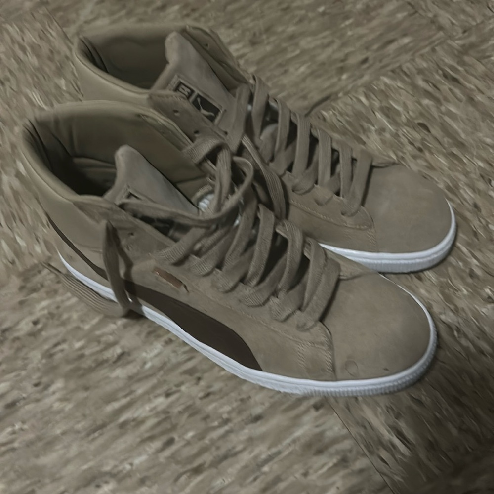 Pumas